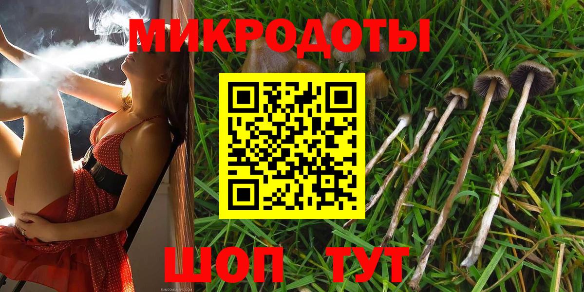 Сергиев Посад  Псилоцибиновые грибы мицелий  Вход с VPN 