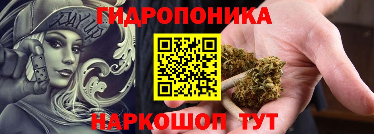 Конопля марихуана Сергиев Посад